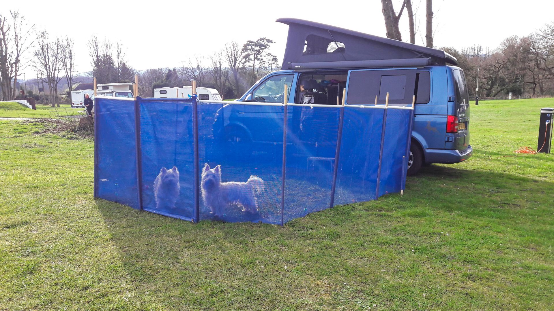 2 Sussex Campervans VW Caledonia LWB dog friendly campervans Penny.JPEG