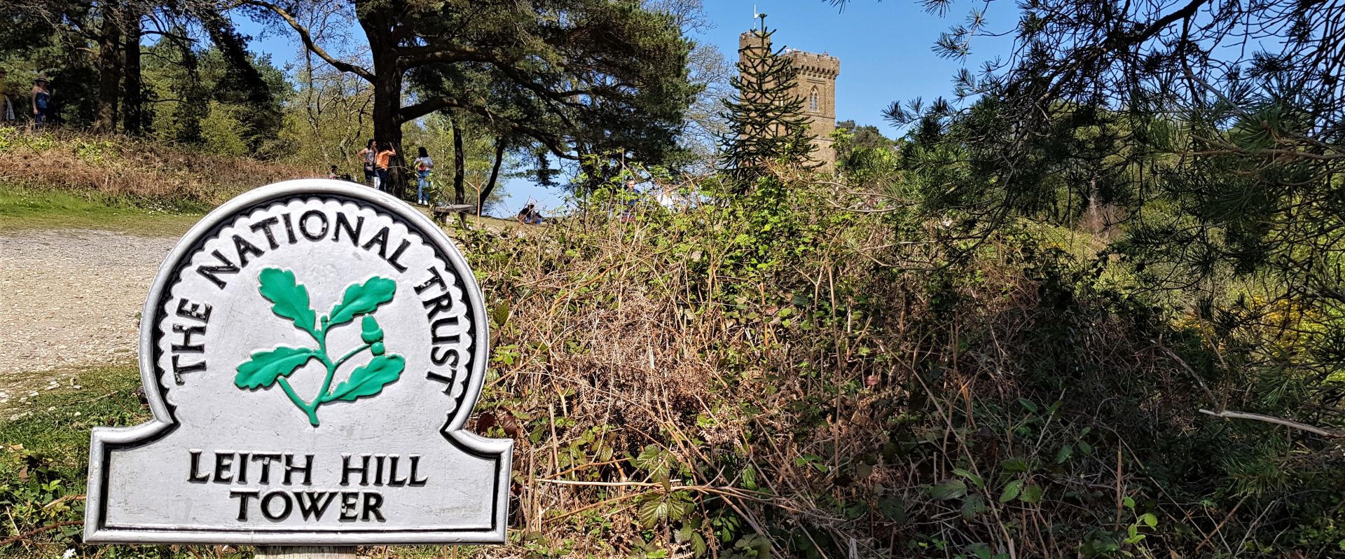 Leith Hill Tower landscape.jpg