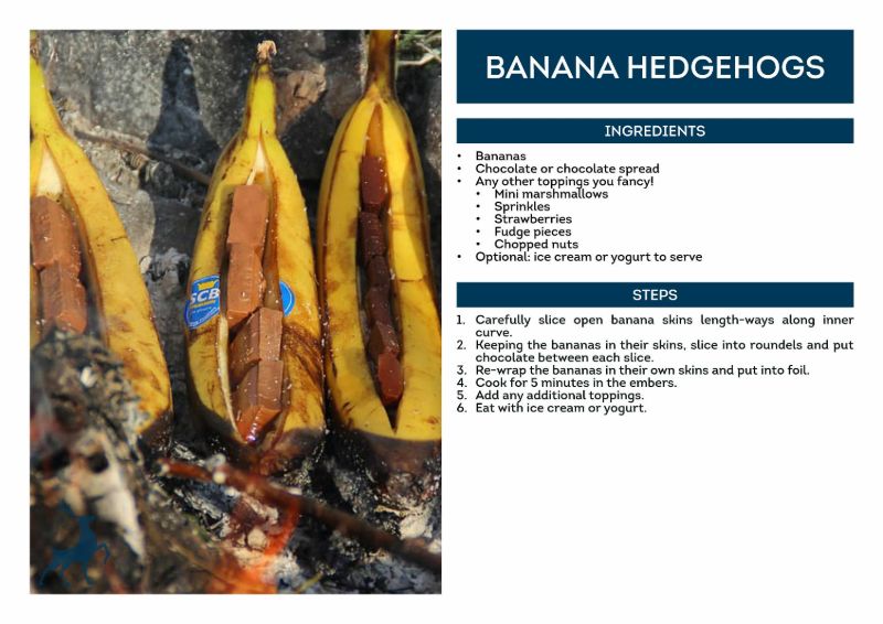 BANANA HEDGEHOGS.jpg