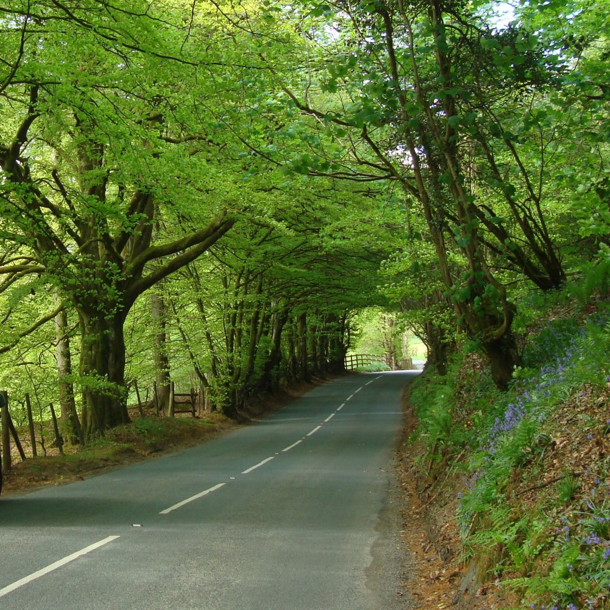 Sussex Campervans Exe Valley Devon Cathie.jpg