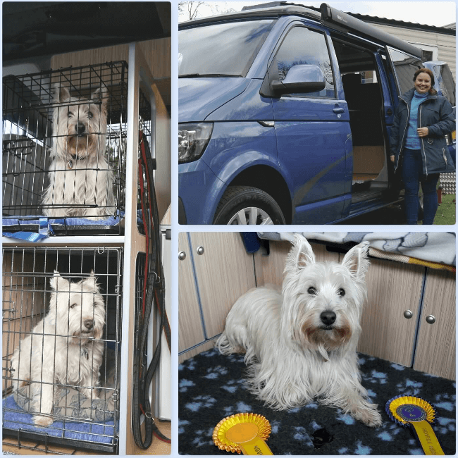 5 Sussex Campervans VW Caledonia LWB dog friendly campervans Borderfest Penny 3.png