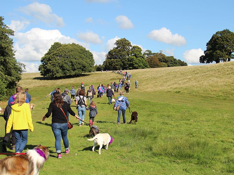 site_imagery_blog_BigPetworthWalk.jpg