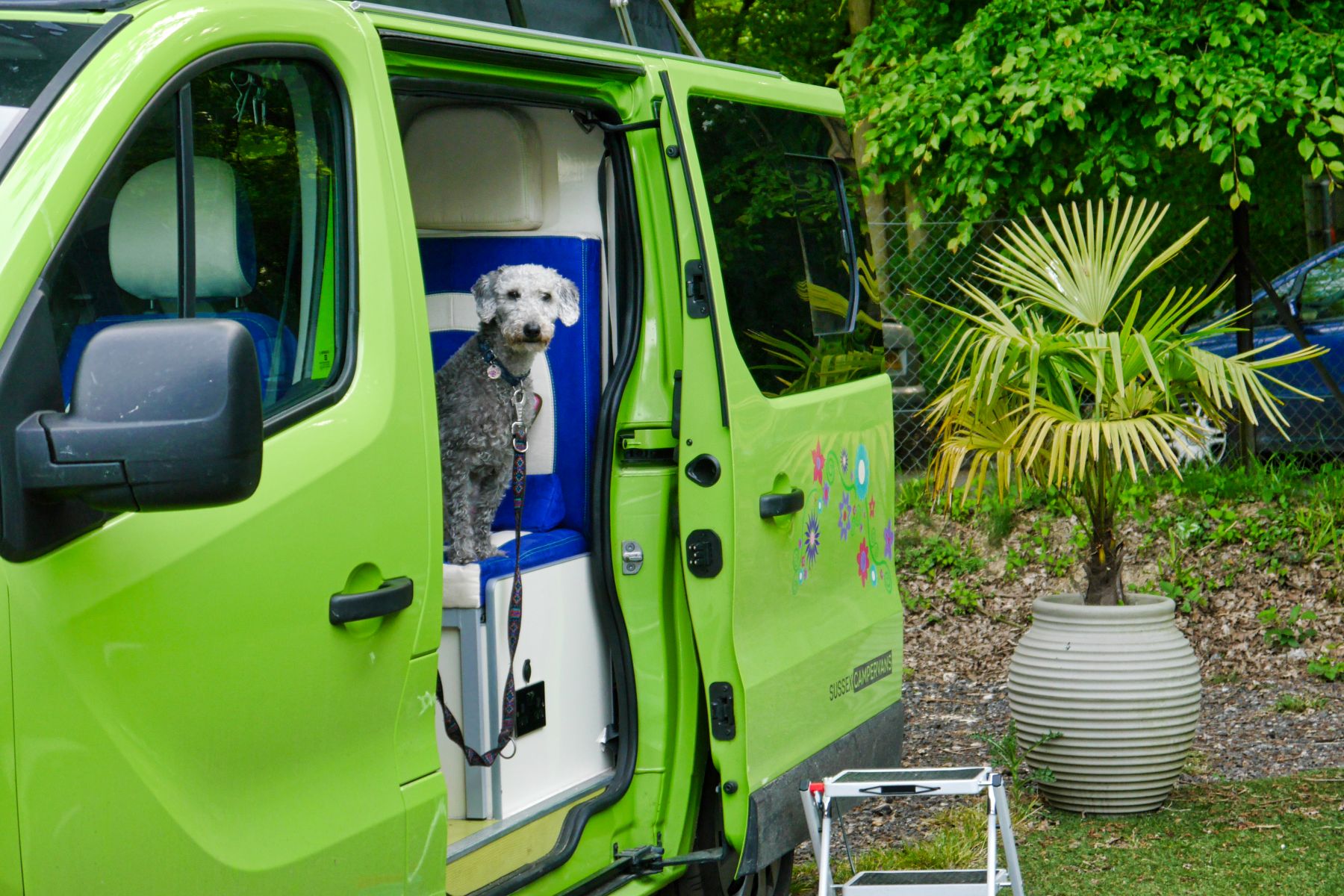 Sussex Campervans for sale holidays with dogs VIPs May 18.JPEG
