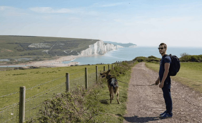 man walking with his dog beside the road