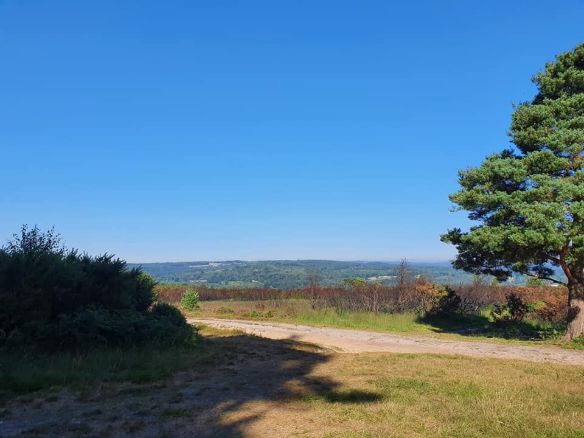 Ashdown Forest, East Sussex